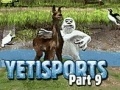 Hra Yeti Sports: Part 9 - Final Spit