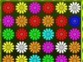 Hra Flower Action Puzzle