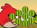 Hra Angry Birds - cut the rope