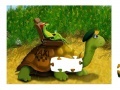 Hra Turtle Taxi