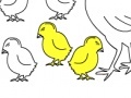 Hra Chicken Family: Coloring