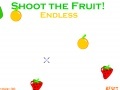Hra Xtreme Fruit Shoot 2!
