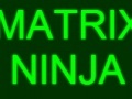Hra Matrix Ninja