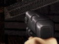 Hra Duke Nukem: FPS