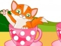 Hra Cat in Cup