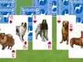 Hra Best in show: Solitaire