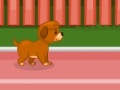 Hra Puppy racer