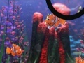 Hra Finding Nemo hide and seek