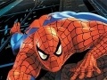 Hra Spider-Man: Puzzles