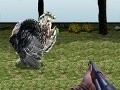 Hra Turkey Shooter 3D