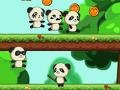 Hra Panda Shock Troop 