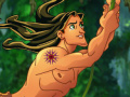 Hra Tarzan jungle problems 