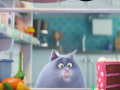 Hra The Secret Life Of Pets Spot The Numbers