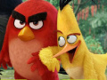 Hra Angry Birds Shooter 