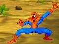 Hra Spiderman: Hero Training 