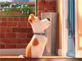Hra Hidden Letters in The Secret Life of Pets