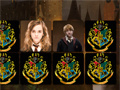 Hra Harry Potter Memo Deluxe