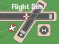 Hra Flight Sim