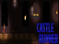 Hra Castle Runner  