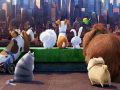 Hra The Secret Life Of Pets Find Objects