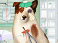 Hra Doctor For Dog With a Blog