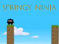 Hra Springy Ninja
