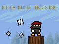 Hra Ninja Kunai Training