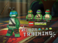 Hra Teenage Mutant Ninja Turtles: Ninja Training