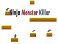 Hra Ninja Monster Killer