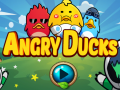 Hra Angry Ducks