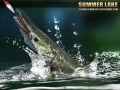 Hra Summer Lake 1.5