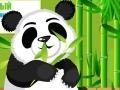 Hra Panda Care