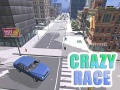 Hra Crazy Race