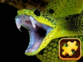 Hra Snake Puzzle Challenge