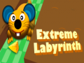 Hra Extreme Labyrinth