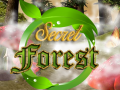 Hra Secret Forest