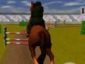 Hra Jumping Horse 3d