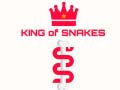 Hra King Of Snakes