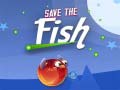 Hra Save The Fish