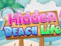 Hra Hidden Beach Life