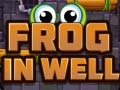 Hra Frog In Well
