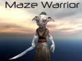 Hra Maze Warrior