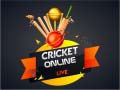 Hra Cricket Online