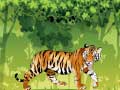 Hra Angry Tiger Coloring