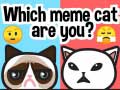 Hra Which Meme Cat Are You?