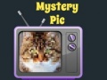 Hra Mystery Pic