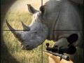 Hra Wild Rhino Hunter