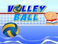 Hra Volley ball
