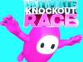 Hra Ultimate Knockout Race