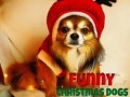 Hra Funny Christmas Dogs